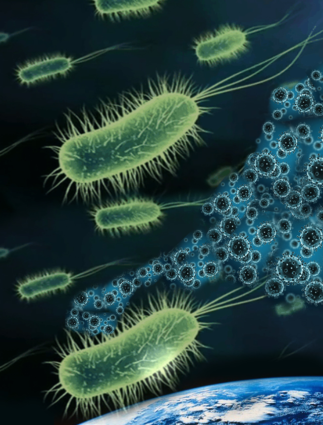 細菌とウイルス