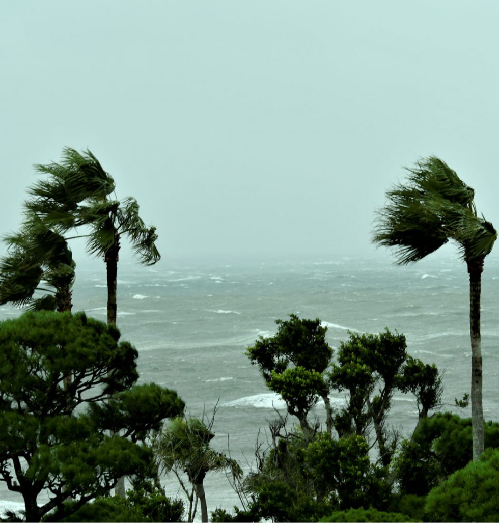 台風９号、沖縄接近中！
